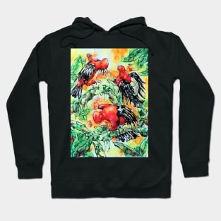 Andean Cock-of-the Rock Hoodie